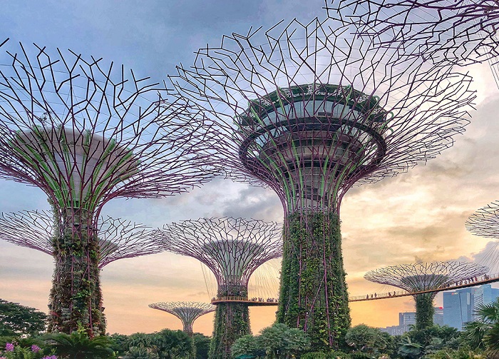 新加坡天空树
