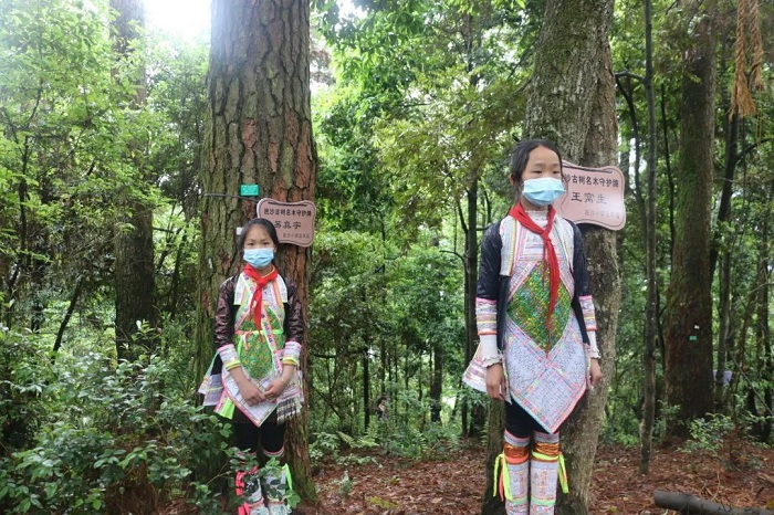 从江县2022年“小树长”保护古树名木志愿服务活动启动仪式现场 (6)