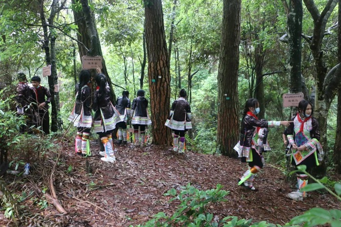 从江县2022年“小树长”保护古树名木志愿服务活动启动仪式现场 (8)