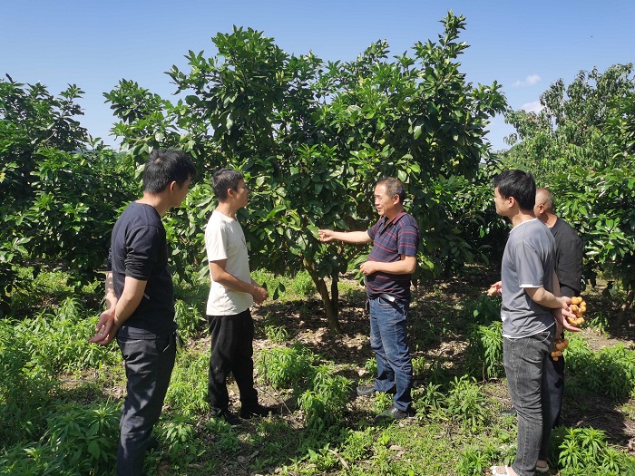 农技人员指导水果产业“病虫防治”