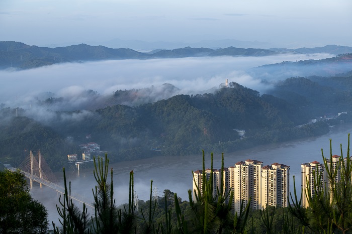 2、2022年5月29日，广西梧州市西江黄金水道两岸云雾缥缈，如梦如幻，让青绿的山城水都在雾气中披上一层神秘的面纱，宛若人间仙境。（何华文）