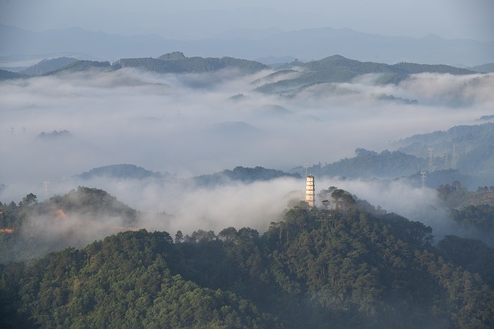 7、2022年5月29日，广西梧州市西江黄金水道两岸云雾缥缈，如梦如幻，让青绿的山城水都在雾气中披上一层神秘的面纱，宛若人间仙境。（何华文）