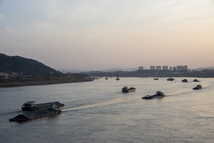 2、2022年7月14日，西江黄金水道广西梧州市区段，货船来往穿梭，交通顺畅，一派欣欣向荣景象。（何华文）