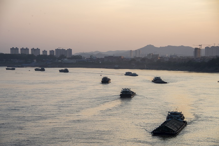 6、2022年7月14日，西江黄金水道广西梧州市区段，货船来往穿梭，交通顺畅，一派欣欣向荣景象。（何华文）