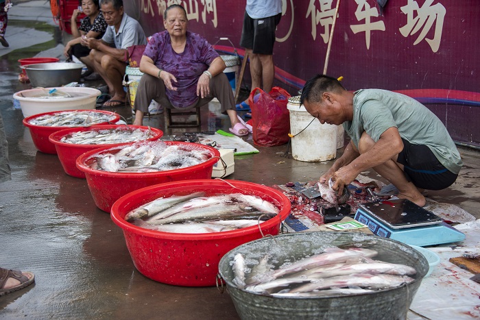 7、2022年7月18日，市民在广西梧州市富民防洪堤上选购渔民捕获上的新鲜河鱼。（何华文）