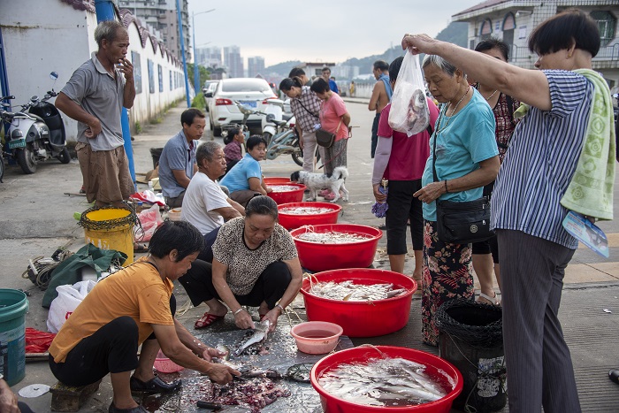 9、2022年7月18日，市民在广西梧州市富民防洪堤上选购渔民捕获上的新鲜河鱼。（何华文）