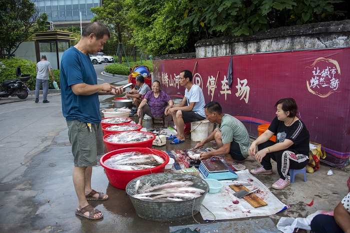11、2022年7月18日，市民在广西梧州市富民防洪堤上选购渔民捕获上的新鲜河鱼。（何华文）