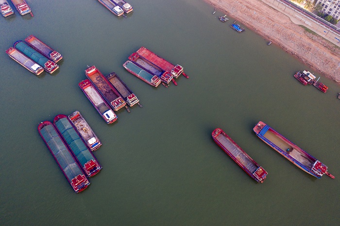 5、2022年8月8日，广西梧州市西江江面上，货船汇集，水运繁忙，一派欣欣向荣的景象。（何华文）