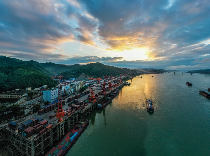 1、2022年8月12日，广西梧州中外运仓码有限公司多艘大型集装箱轮在进行集装箱装卸作业，一派繁忙景象。（何华文）