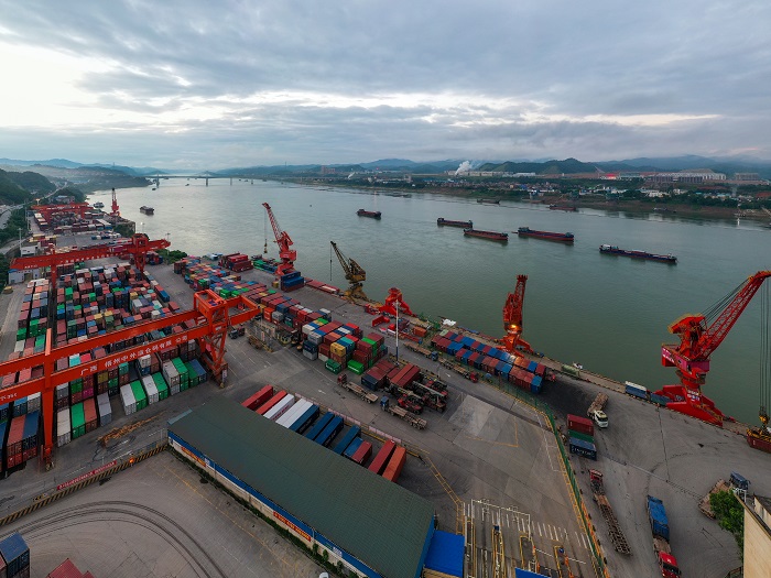3、2022年8月12日，广西梧州中外运仓码有限公司多艘大型集装箱轮在进行集装箱装卸作业，一派繁忙景象。（何华文）