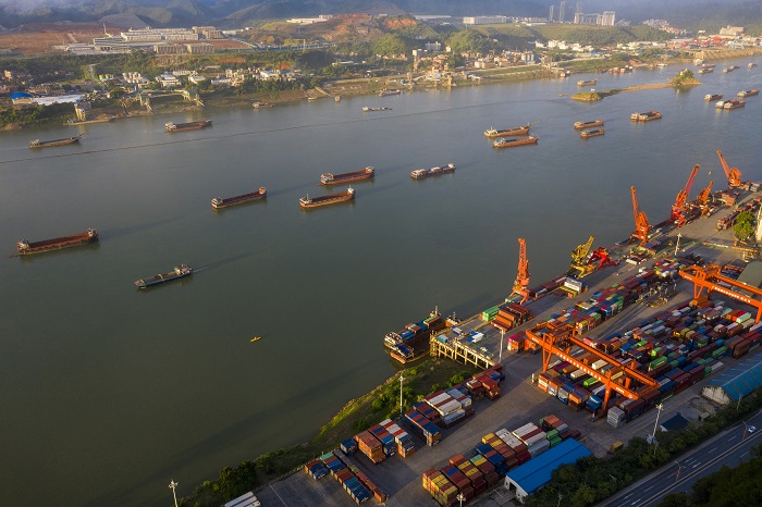 8、2022年8月12日，广西梧州中外运仓码有限公司多艘大型集装箱轮在进行集装箱装卸作业，一派繁忙景象。（何华文）
