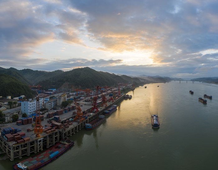 20、2022年8月12日，广西梧州中外运仓码有限公司多艘大型集装箱轮在进行集装箱装卸作业，一派繁忙景象。（何华文）