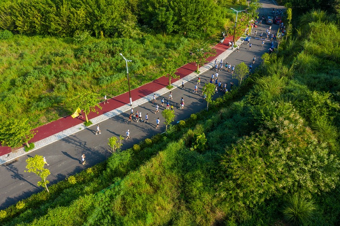 3、8月14日，参加苍海跑团2022全民健身半马接力赛的选手们在苍海公园环湖绿道上奔跑。（何华文）