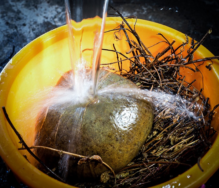 4，把分段切好的凉粉草压在水中浸泡等舒展后下锅慢煮