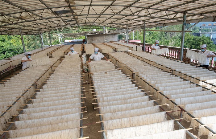 1、2022年9月5日，临近中秋，广西梧州市苍梧县京南米粉厂，工人正在抓紧晴好天气晾晒米粉。（何华文）