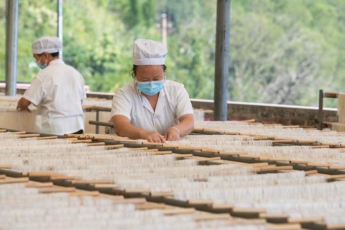 4、2022年9月5日，临近中秋，广西梧州市苍梧县京南米粉厂，工人正在抓紧晴好天气晾晒米粉。（何华文）