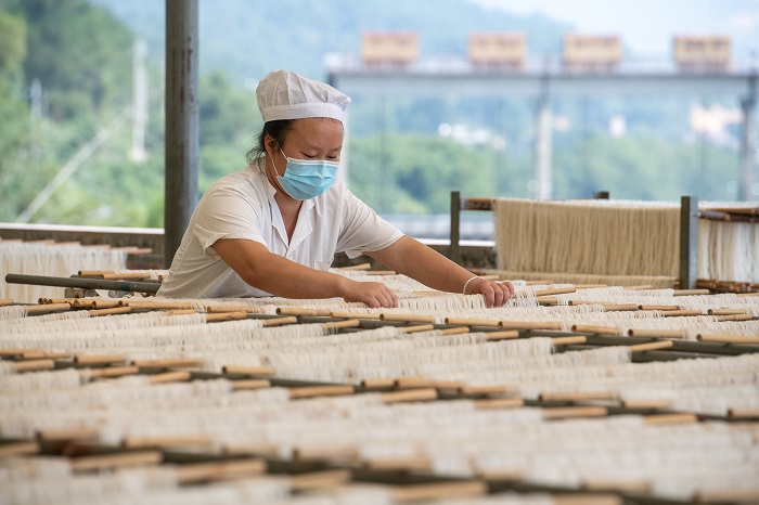 6、2022年9月5日，临近中秋，广西梧州市苍梧县京南米粉厂，工人正在抓紧晴好天气晾晒米粉。（何华文）