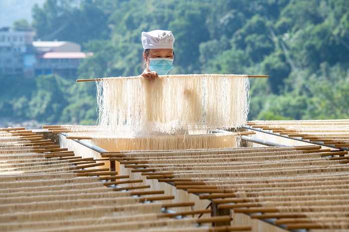 9、2022年9月5日，临近中秋，广西梧州市苍梧县京南米粉厂，工人正在抓紧晴好天气晾晒米粉。（何华文）