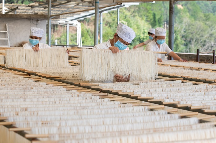 10、2022年9月5日，临近中秋，广西梧州市苍梧县京南米粉厂，工人正在抓紧晴好天气晾晒米粉。（何华文）