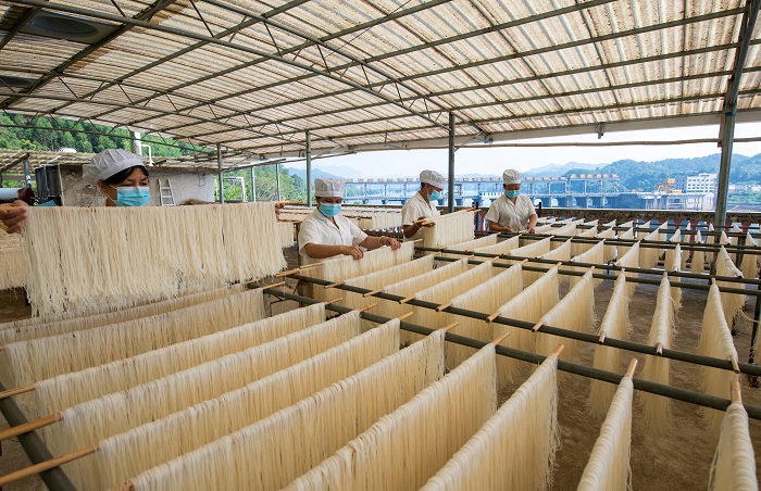 11、2022年9月5日，临近中秋，广西梧州市苍梧县京南米粉厂，工人正在抓紧晴好天气晾晒米粉。（何华文）