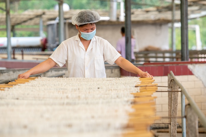 15、2022年9月22日，广西梧州市苍梧县京南米粉厂，工人正在楼顶晾晒米粉。（何华文）