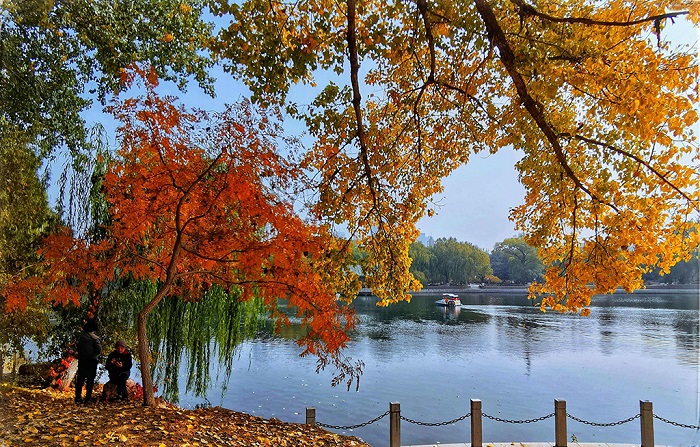 南湖公园秋色美景