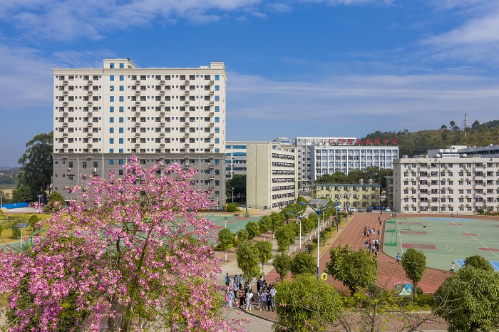 1、2022年11月2日，广西梧州商贸学校内种植的异木棉花开正当时，鲜艳的花朵，绚丽耀目，姹紫嫣红与校园建筑、操场相互辉映，宛如一幅色彩斑斓的美丽画卷。（何华文）