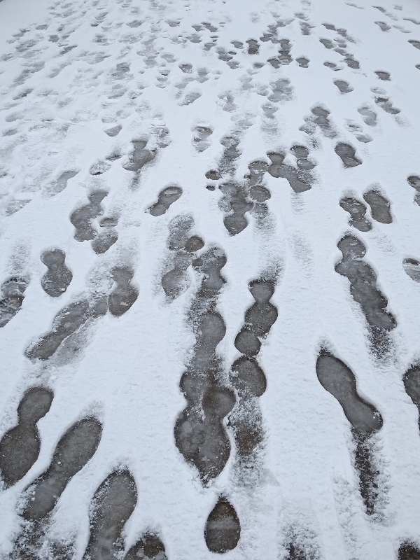 雪地上脚印。