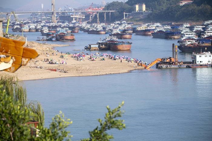 2022年11月20日，市民在广西梧州市西江段的鸳鸯江畔沙滩上打卡游玩。（何华文） (9)