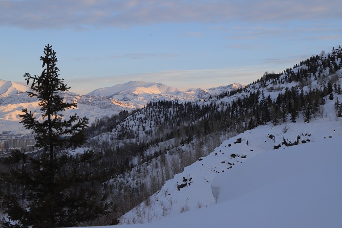 这是2022年12月18日在新疆阿勒泰地区阿尔泰山脉拍摄的雪景。 (4)