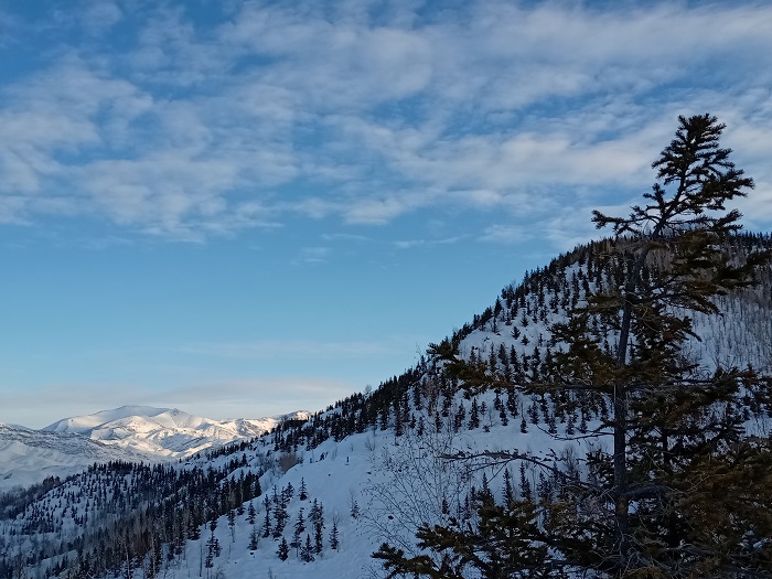 这是2022年12月18日在新疆阿勒泰地区阿尔泰山脉拍摄的雪景。 (13)