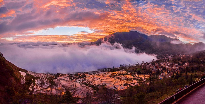 多依树梯田红霞满天美景