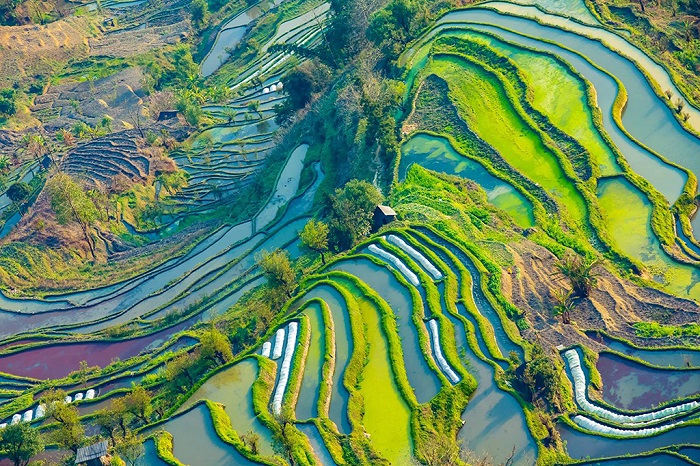 红河哈尼梯田湿地公园风光