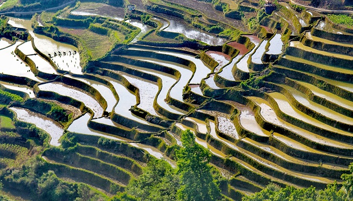 红河元阳哈尼梯田