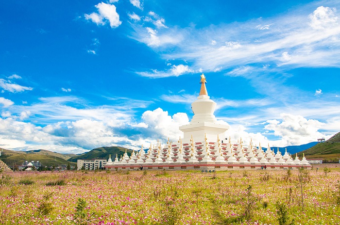 稻城白塔林与花海