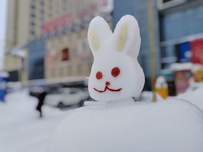 街边的雪兔。
