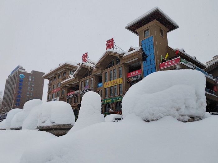 望湖广场上被白雪覆盖的雪雕。