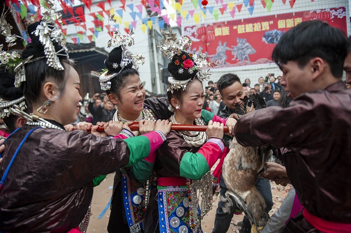 2023年1月23日，贵州省从江县贯洞镇干团村的侗族同胞参加“鼓楼抢鸡”活动，欢度新春佳节。 (14)