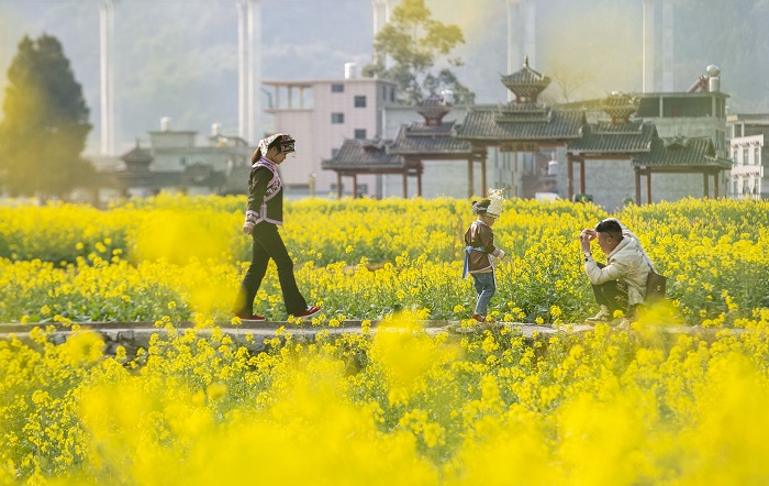 2023年2月15日，人们在贵州省从江县洛香镇上皮林村油菜花田游玩。 (4)