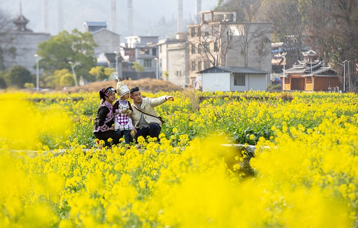 2023年2月15日，人们在贵州省从江县洛香镇上皮林村油菜花田游玩。 (6)
