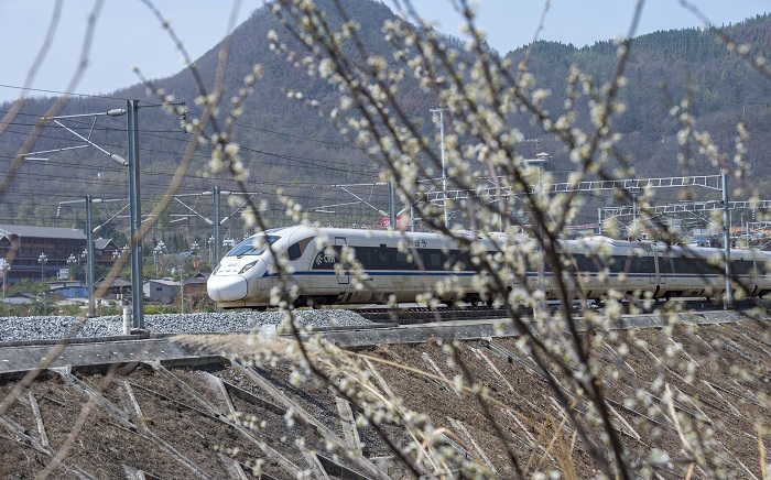 2023年3月13日，一列动车组列车在贵广高铁贵州省从江县洛香镇段附近行驶。 (6)