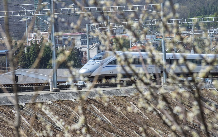 2023年3月13日，一列动车组列车在贵广高铁贵州省从江县洛香镇段附近行驶。 (7)
