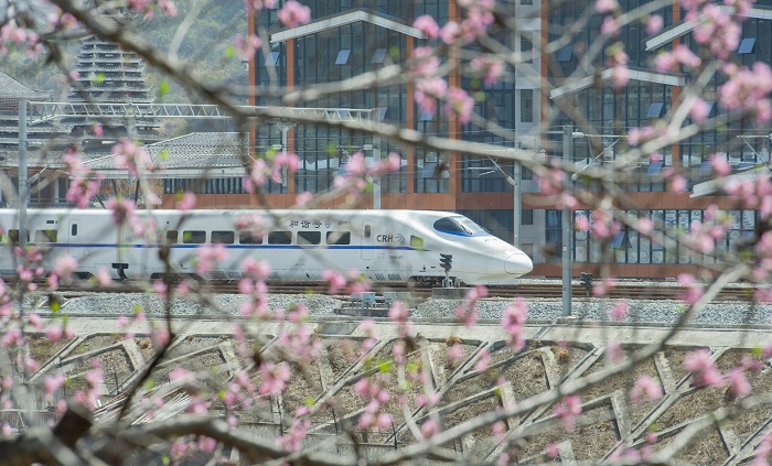 2023年3月13日，一列动车组列车在贵广高铁贵州省从江县洛香镇段附近行驶。 (8)