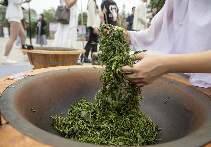 18、3月21日，2023年六堡茶开茶节系列活动在广西梧州市苍梧县六堡镇举行。图为体验传统炒茶工艺。(何华文）