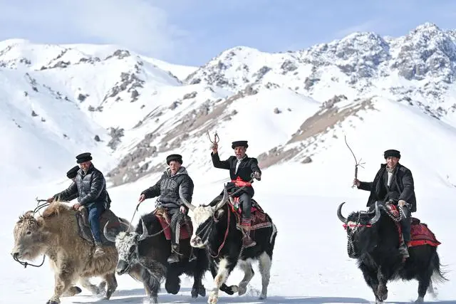 为迎接节日，塔吉克族群众在进行“牦牛叼羊”比赛的训练（3月19日摄）。