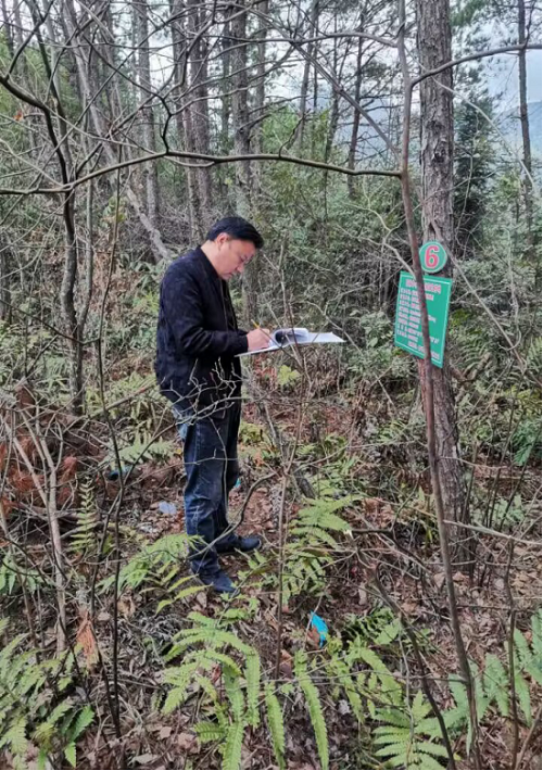 黎平县：开展林业有害生物越冬代专项调查496