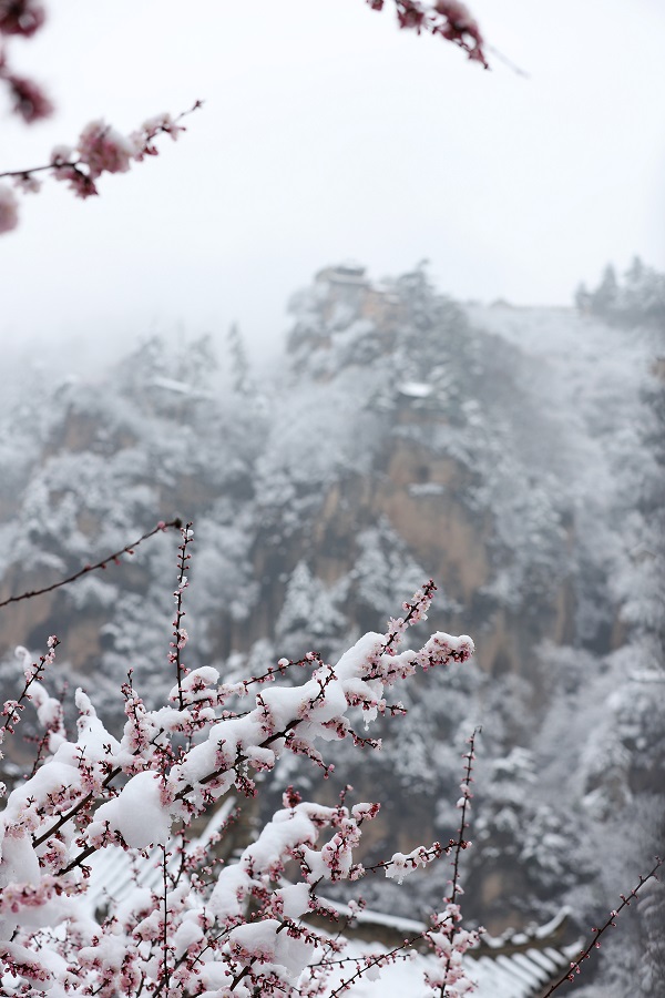 09——4月4日，在甘肃省平凉市崆峒山上拍摄的雪景。