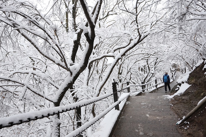 13——4月4日，游客在甘肃省平凉市崆峒山上欣赏雪景。