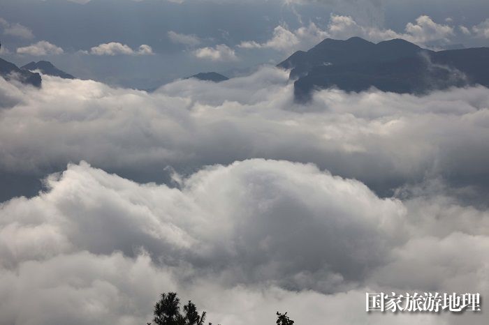 图6：巫山云雨康养旅游度假区三峡黄金水道云海奇观。摄于重庆巫山长江段。唐金生  17784436870
