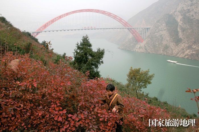图8：巫峡浓雾恋红叶彩桥飞艇成绝版。唐金生